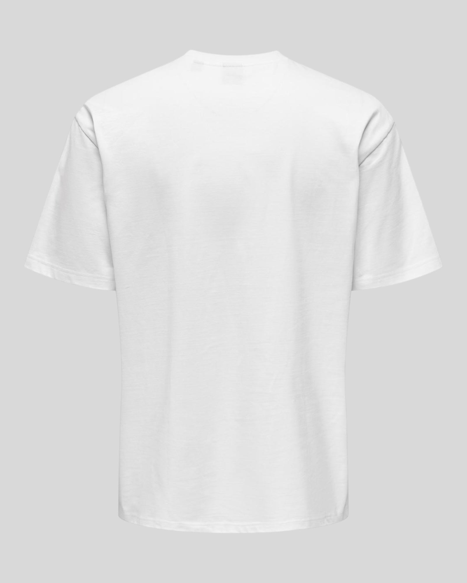 Basic Ons Fred Life Relaxed SS Tee White T-Shirt 22022532