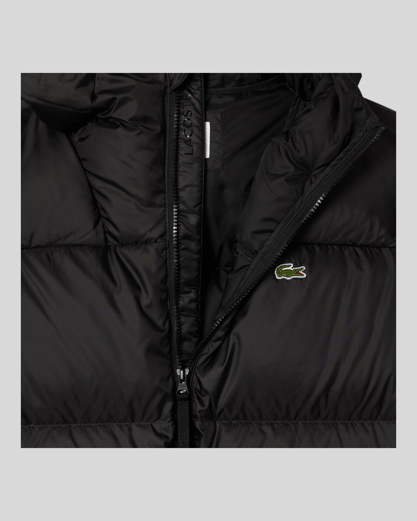 Giubbotto Con Cappuccio Nero BH2905-00-031 Lacoste