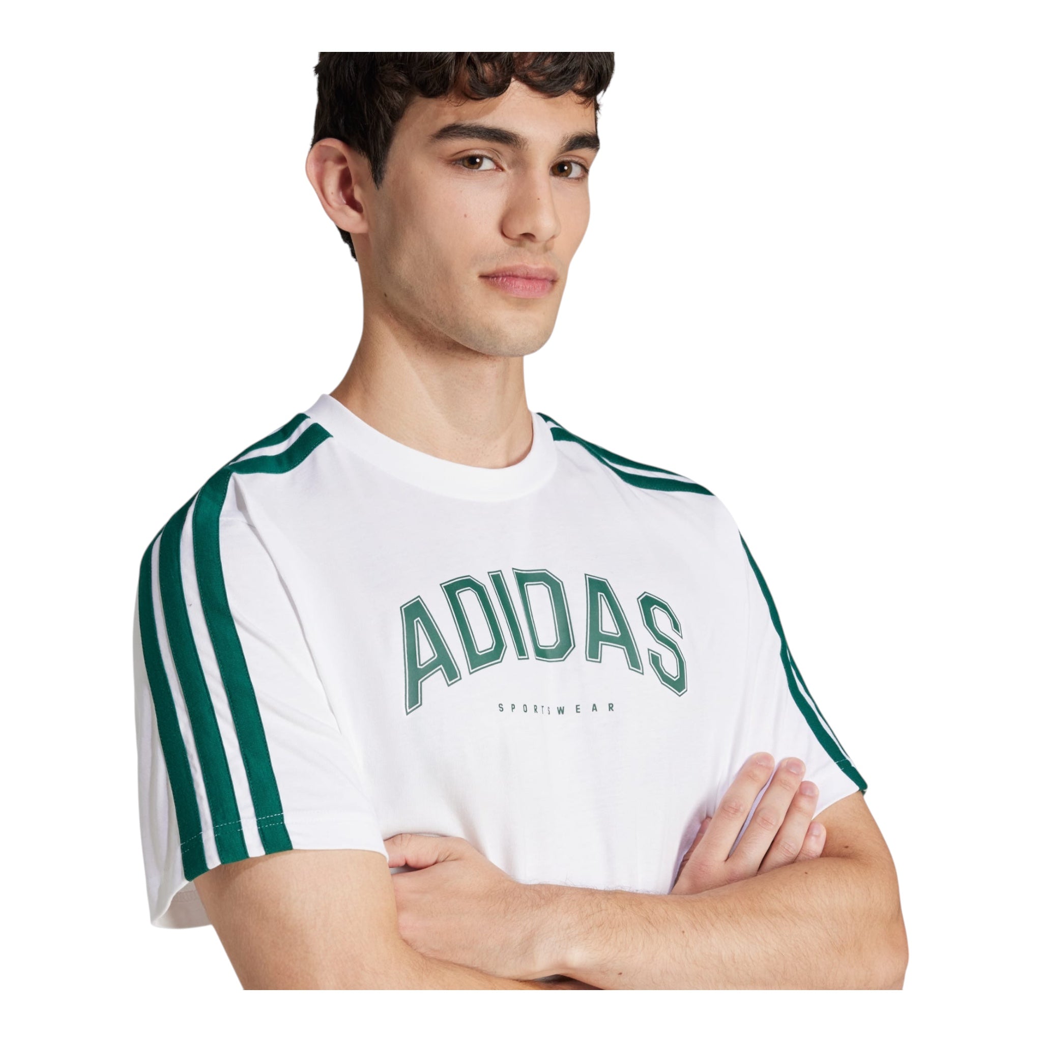T-Shirt M CO Collegiate Bianca JJ3868 Adidas
