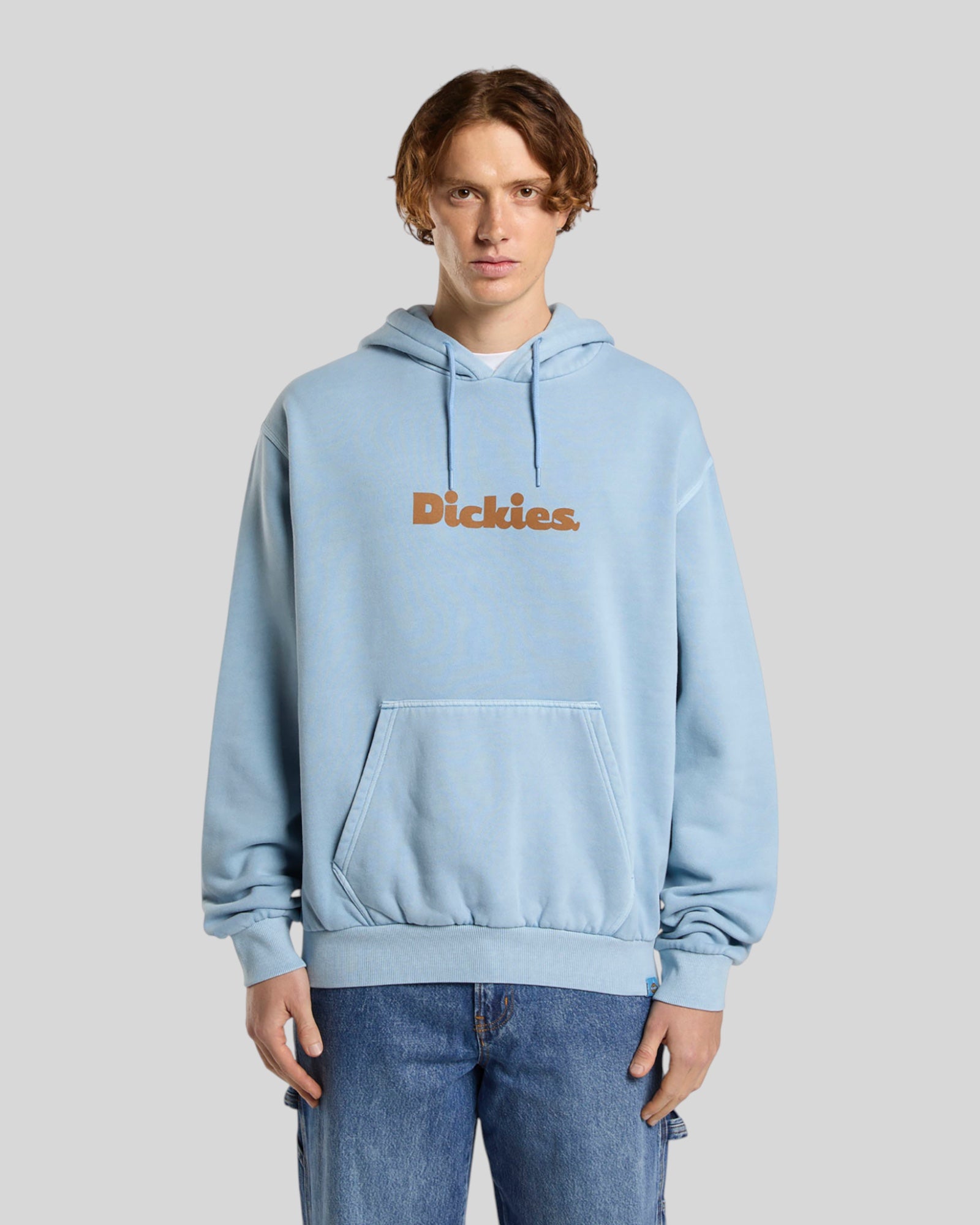 Felpa Con Cappuccio Slayden Tinta In Capo Azzurro DK0A87NPK661 Dickies