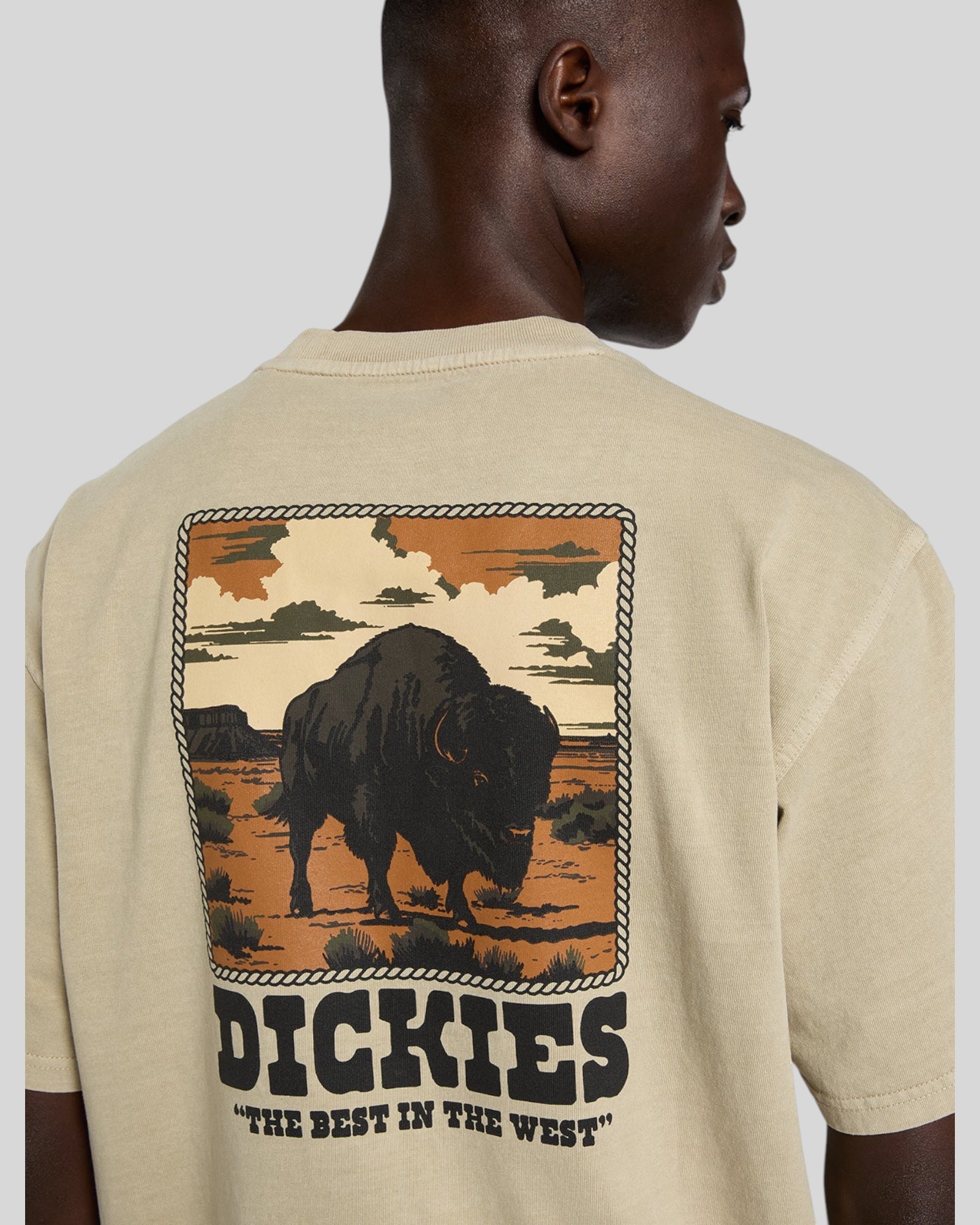 T-Shirt Darrtown SS Tee Beige DK0A88QQL441 Dickies