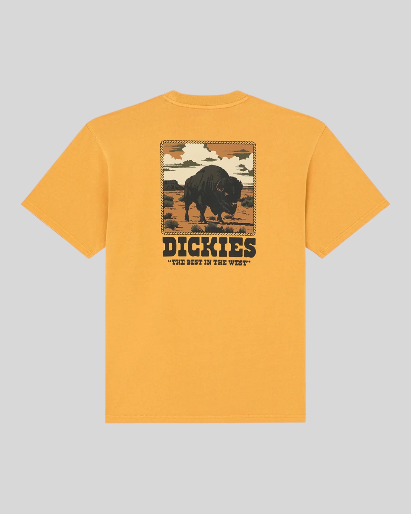 T-Shirt Darrtown SS Tee Girasole DK0A88QQSOR1 Dickies