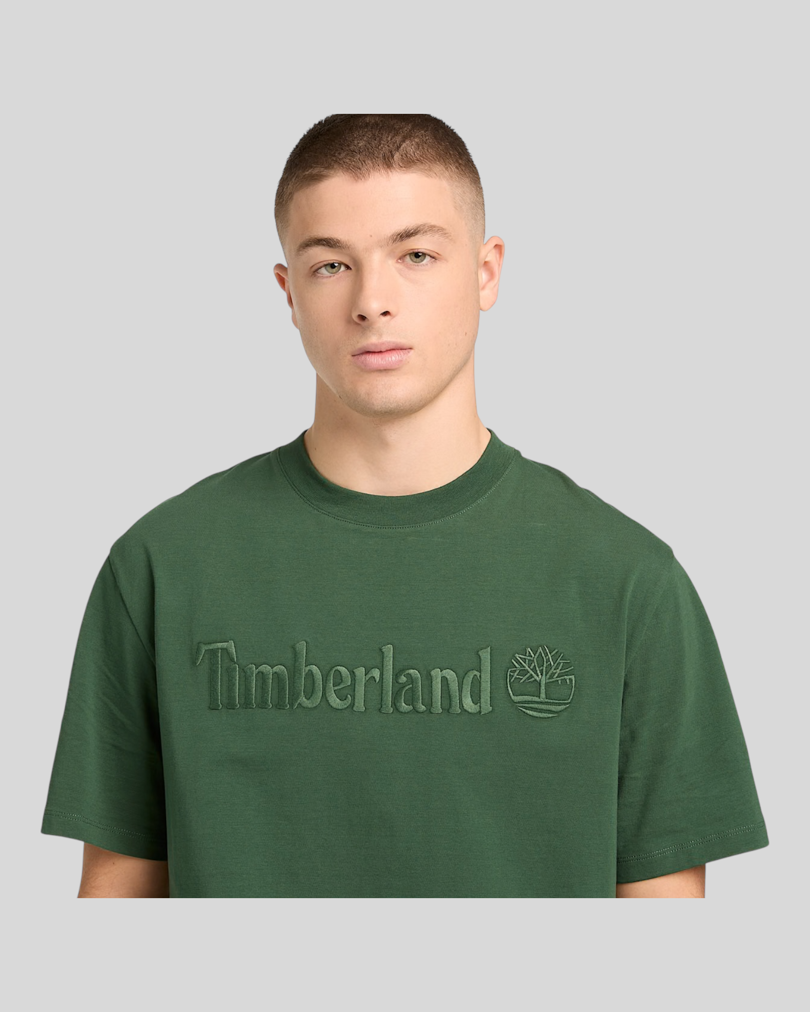 T-Shirt Hampton Tee Verde TB0A6VPE6X Timberland