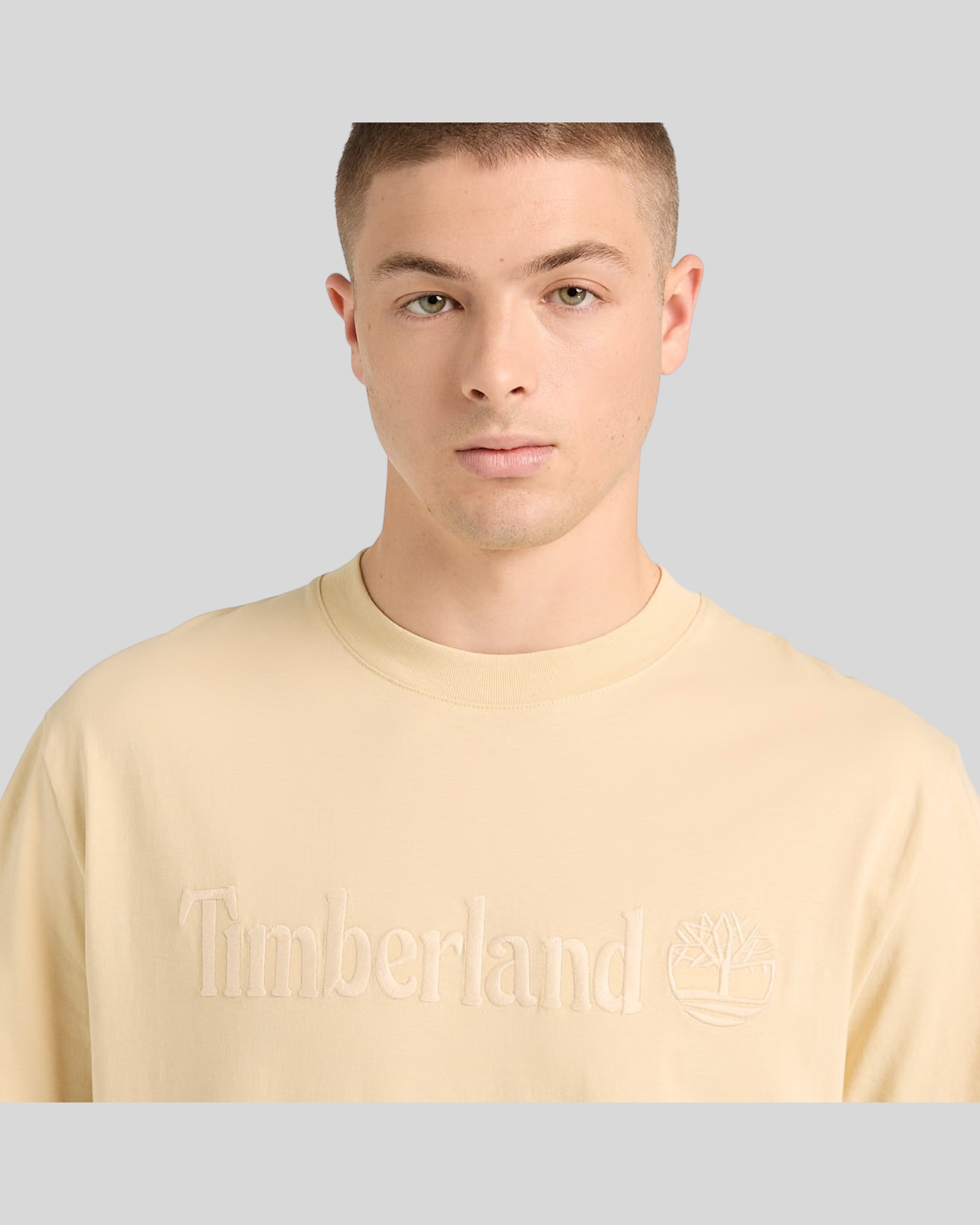 T-Shirt Hampton Tee Beige TB0A6VPE260 Timberland