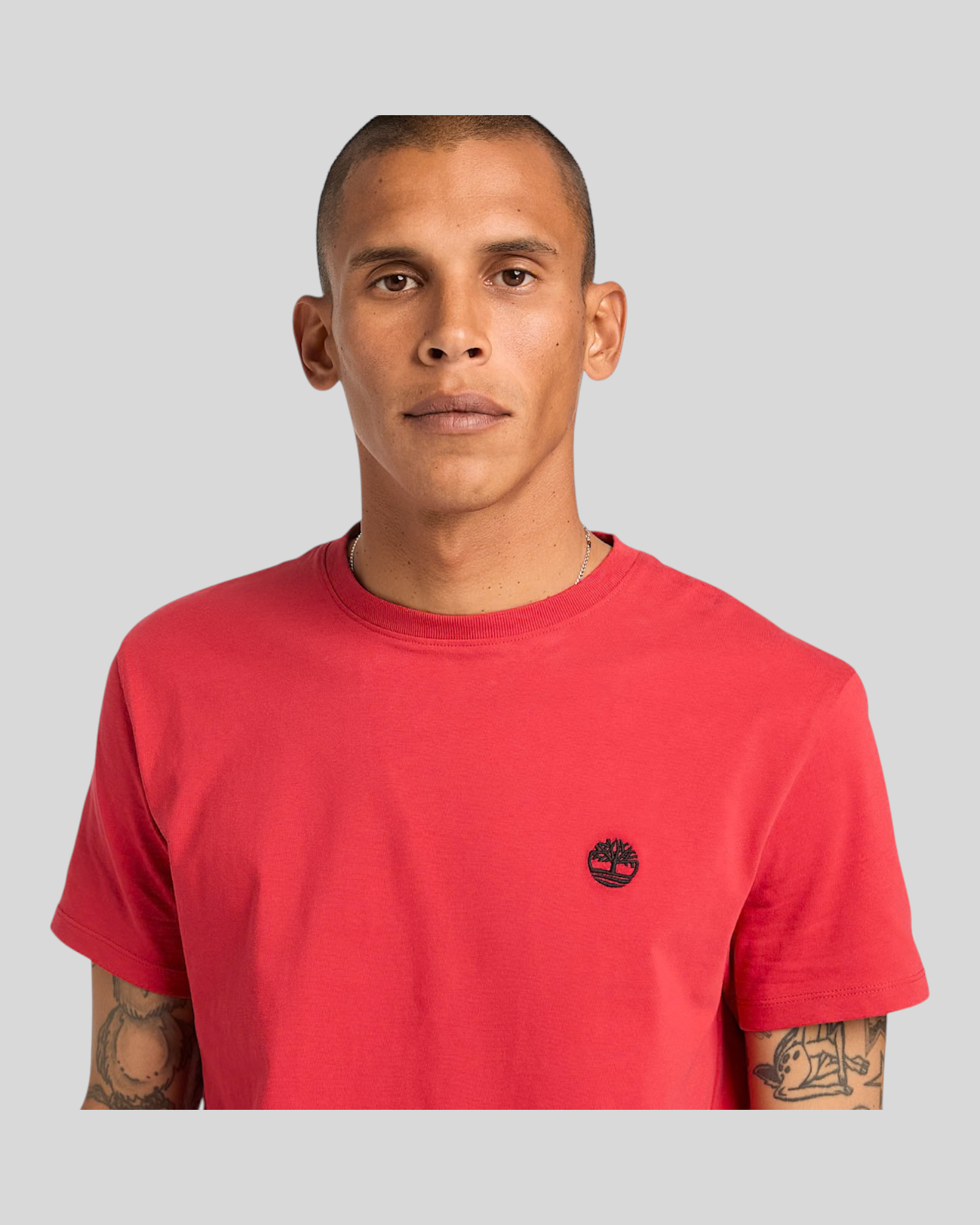 T-Shirt Dunstan River Slim Fit Rosso TB0A2BPR N96 Timberland
