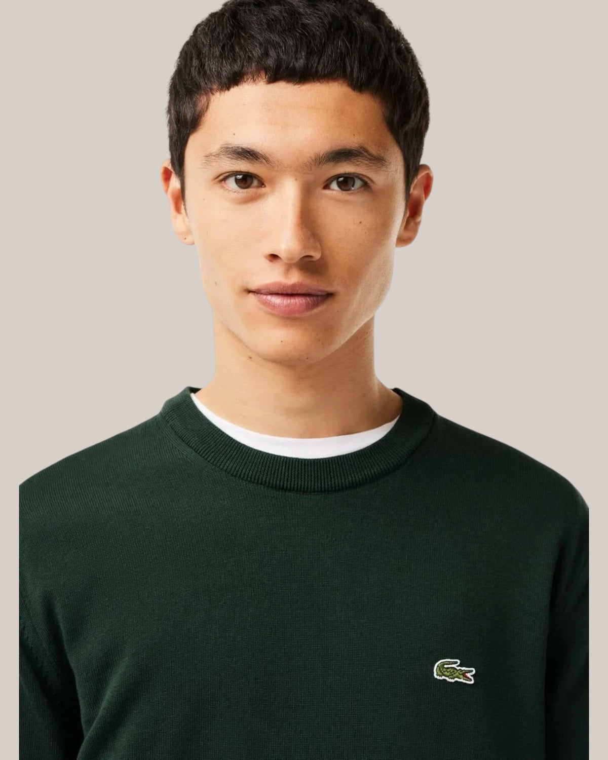 Maglione Lacoste AH3225-00-YZP Verde - indossato