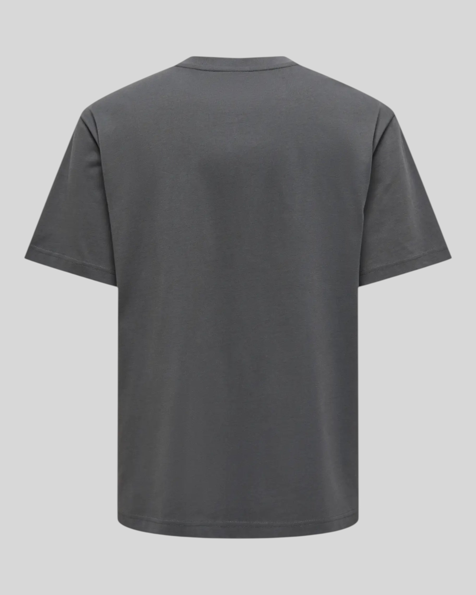 Basic Ons T-Shirt Fred Life Relaxed SS Tee Gray Pinstripe 22022532
