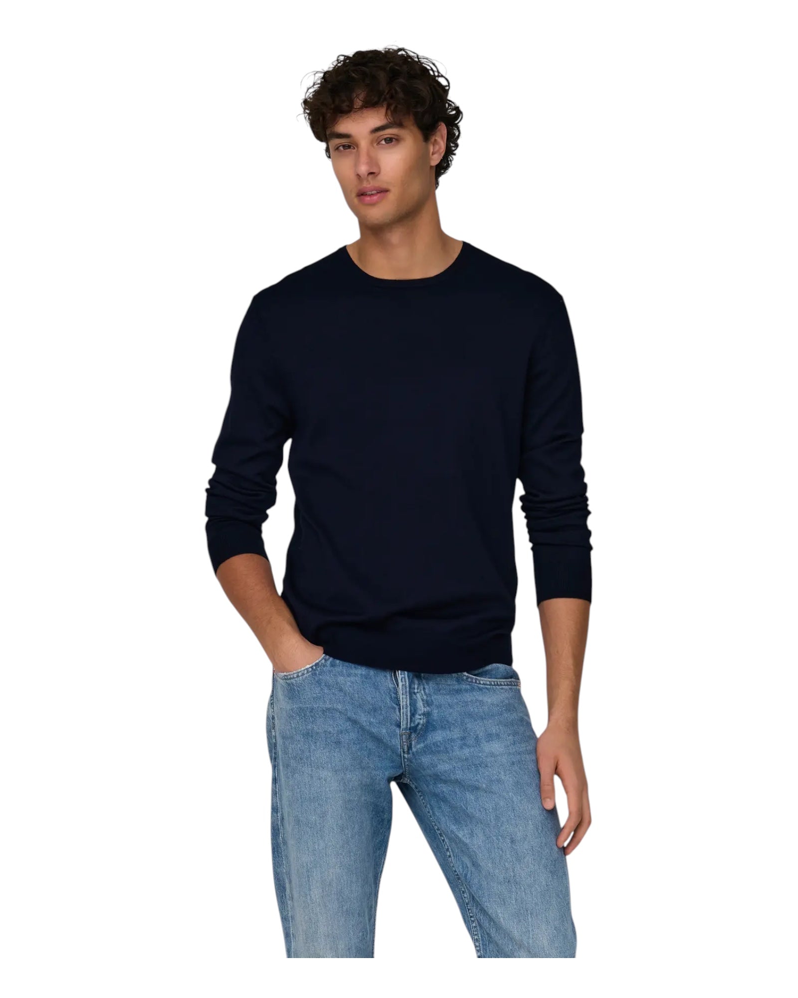 Maglione Girocollo Onswyler Life Reg Blu Navy 22020088 Only & Sons