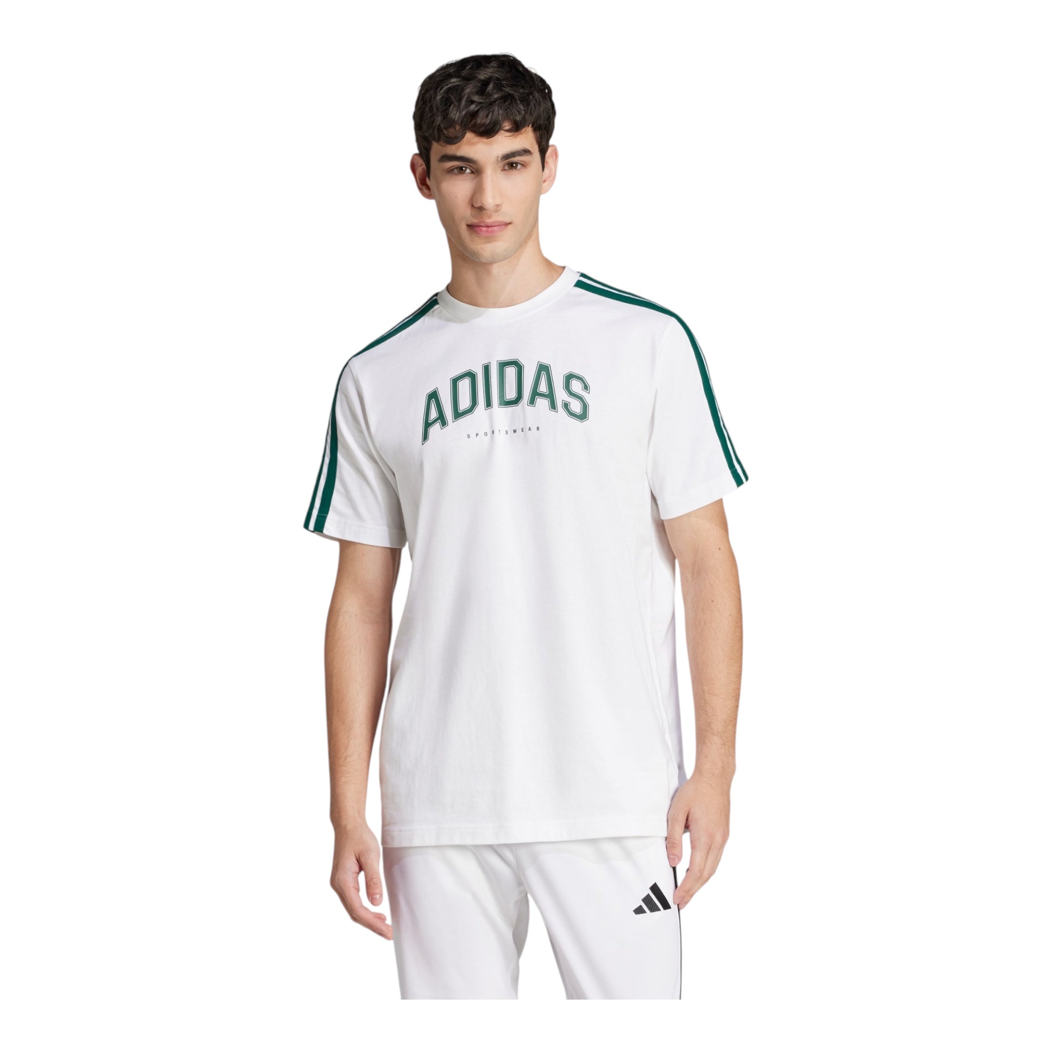 T-Shirt M CO Collegiate Bianca JJ3868 Adidas