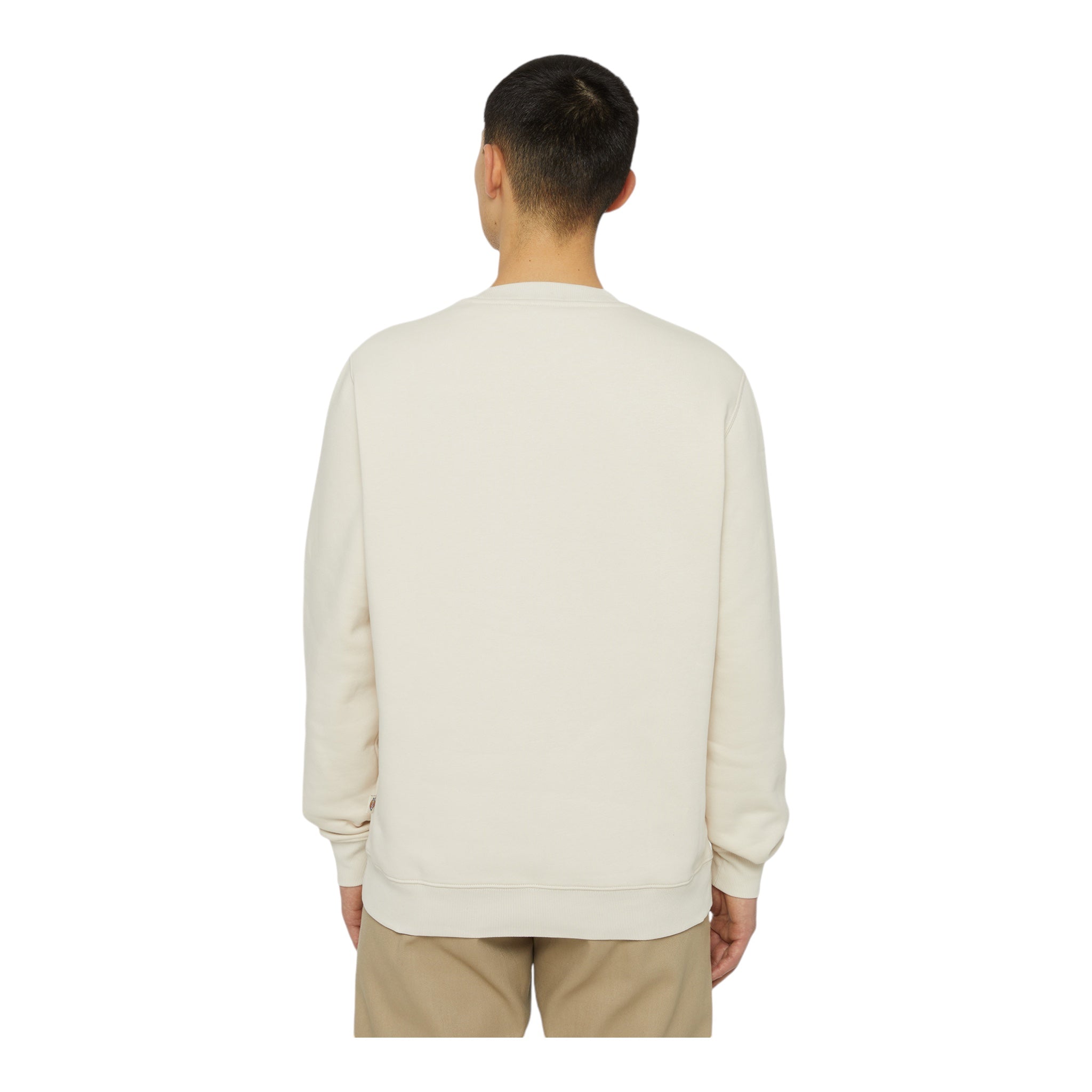 Felpa Girocollo Oakport Sweatshirt Crema DK0A4XCEF901 Dickies