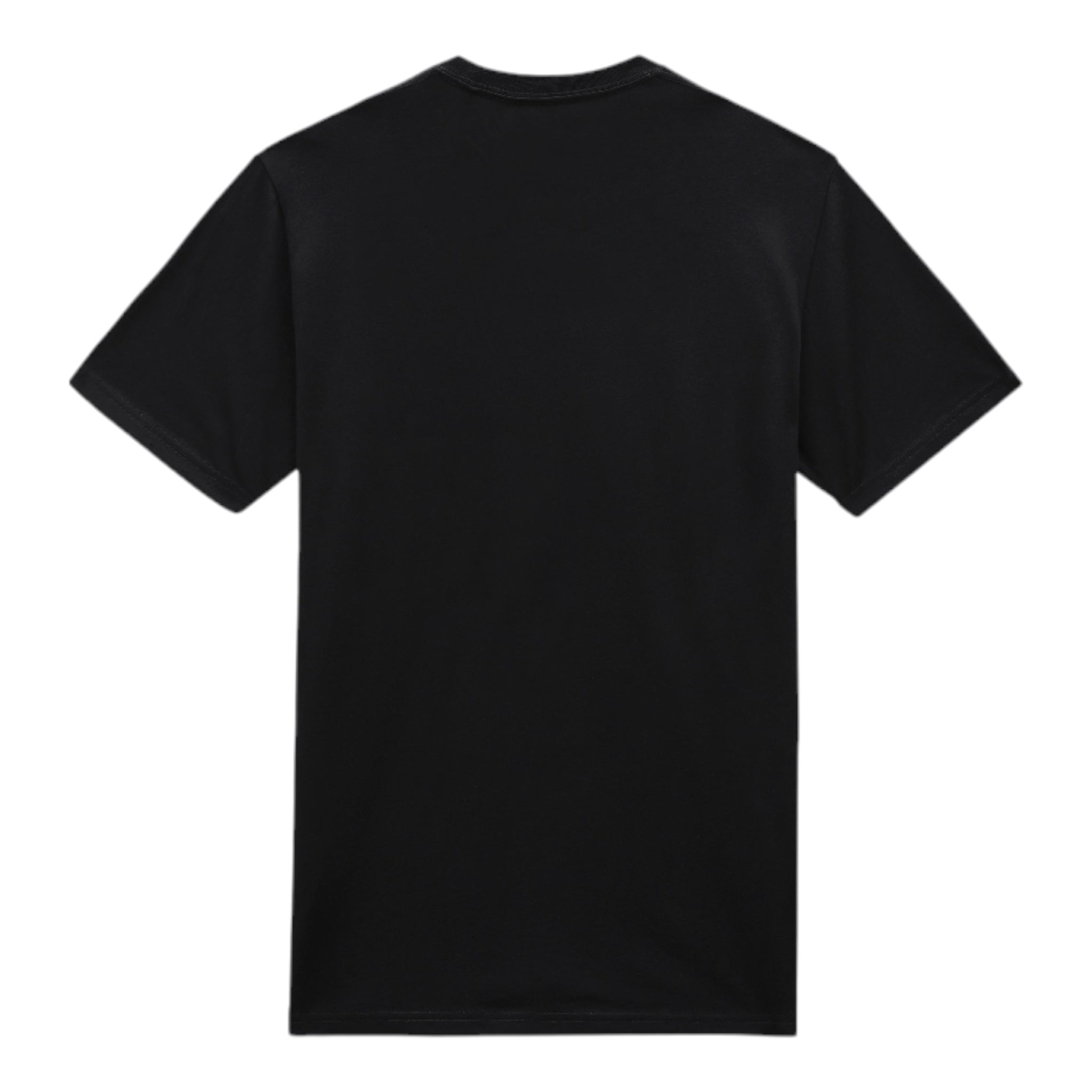 Basic T-Shirt Mapleton Tee Schwarz DK0A4XDBBLK1 Dickies