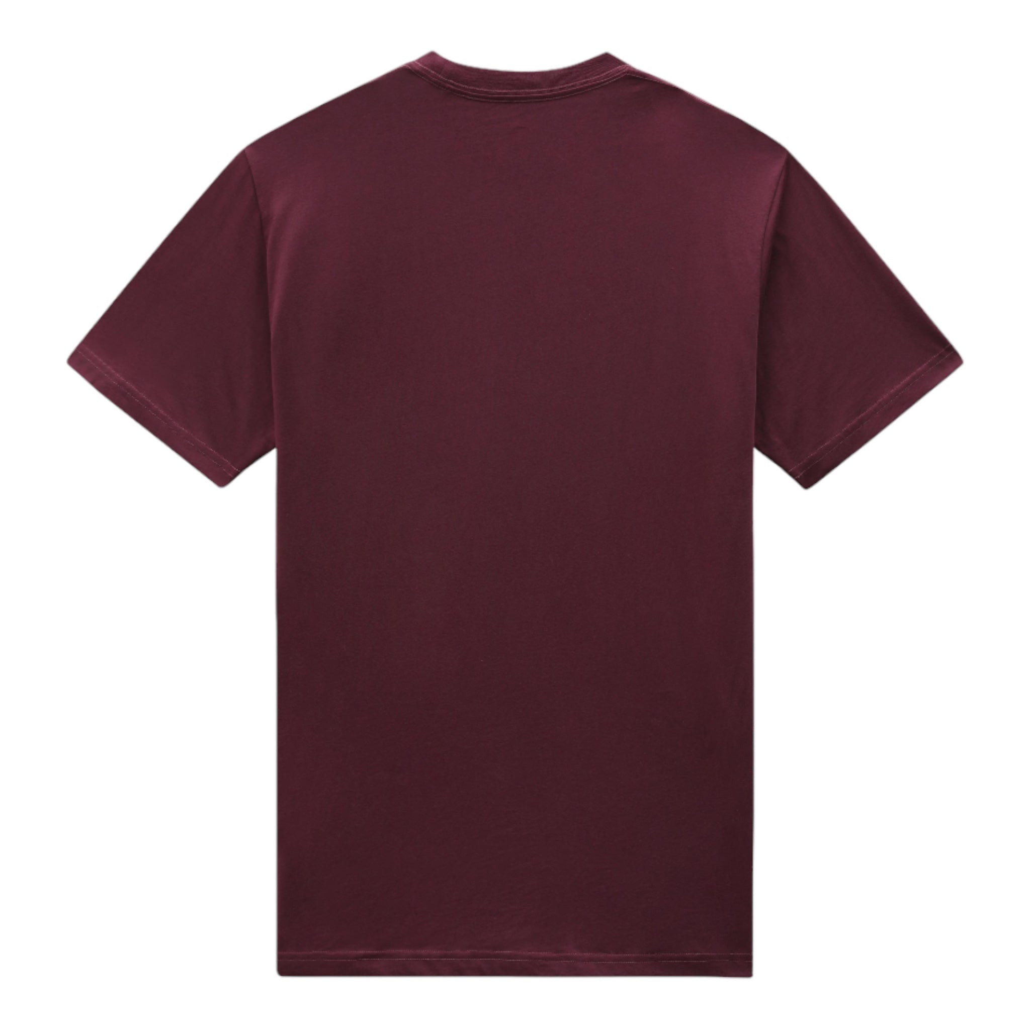 Basic T-Shirt Mapleton Tee Bordeaux DK0A4XDBMR0 Dickies