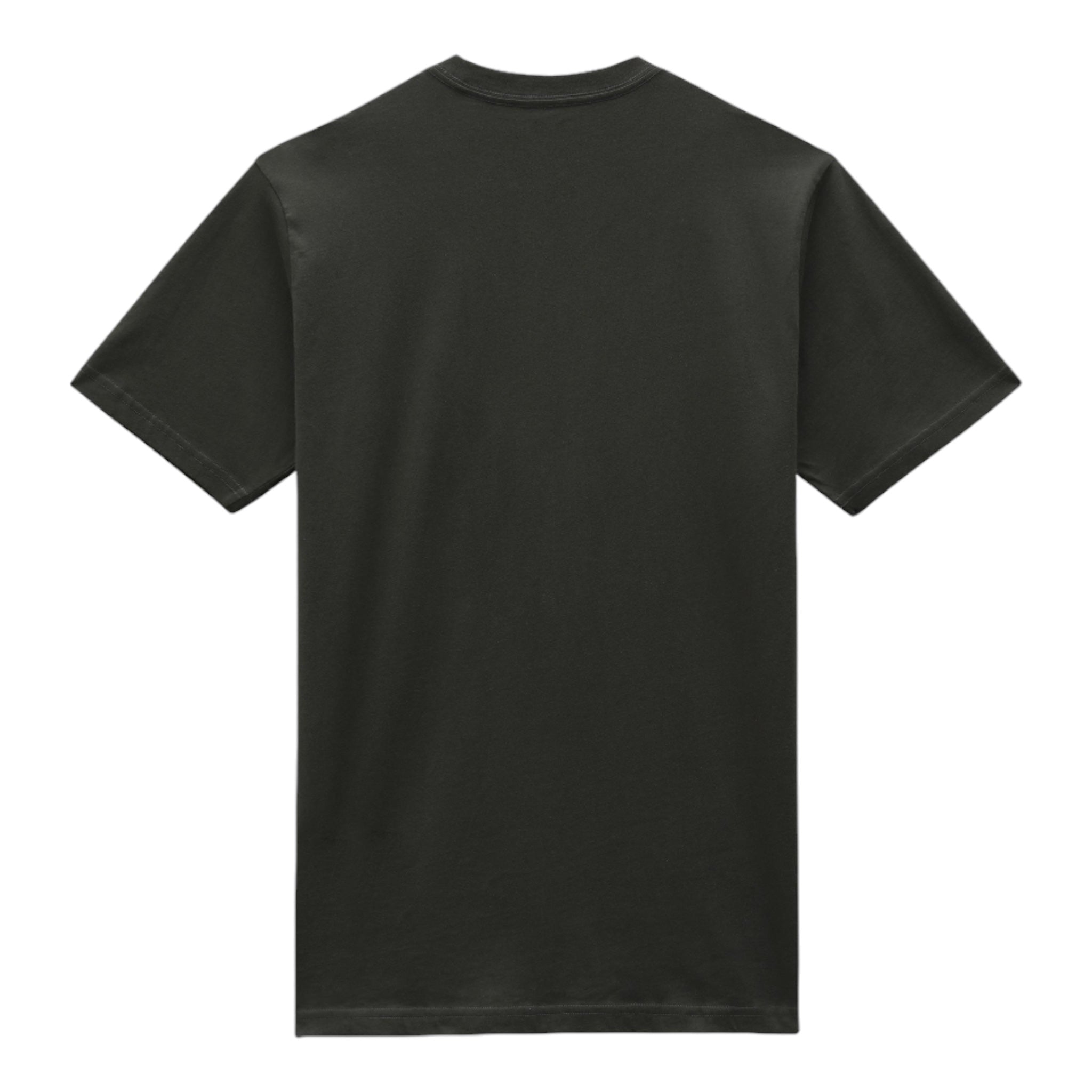 Basic T-Shirt Mapleton Tee Grün DK0A4XDBOGX Dickies