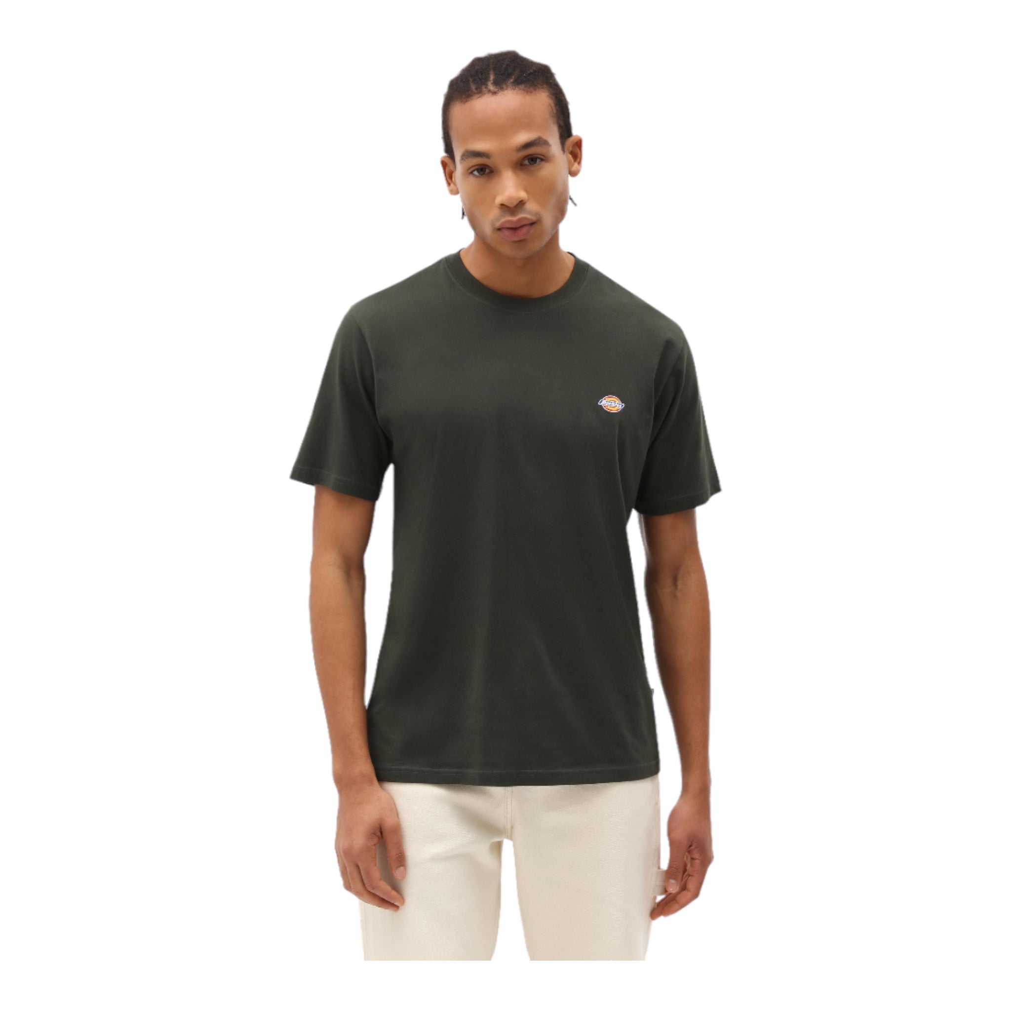 Basic T-Shirt Mapleton Tee Grün DK0A4XDBOGX Dickies