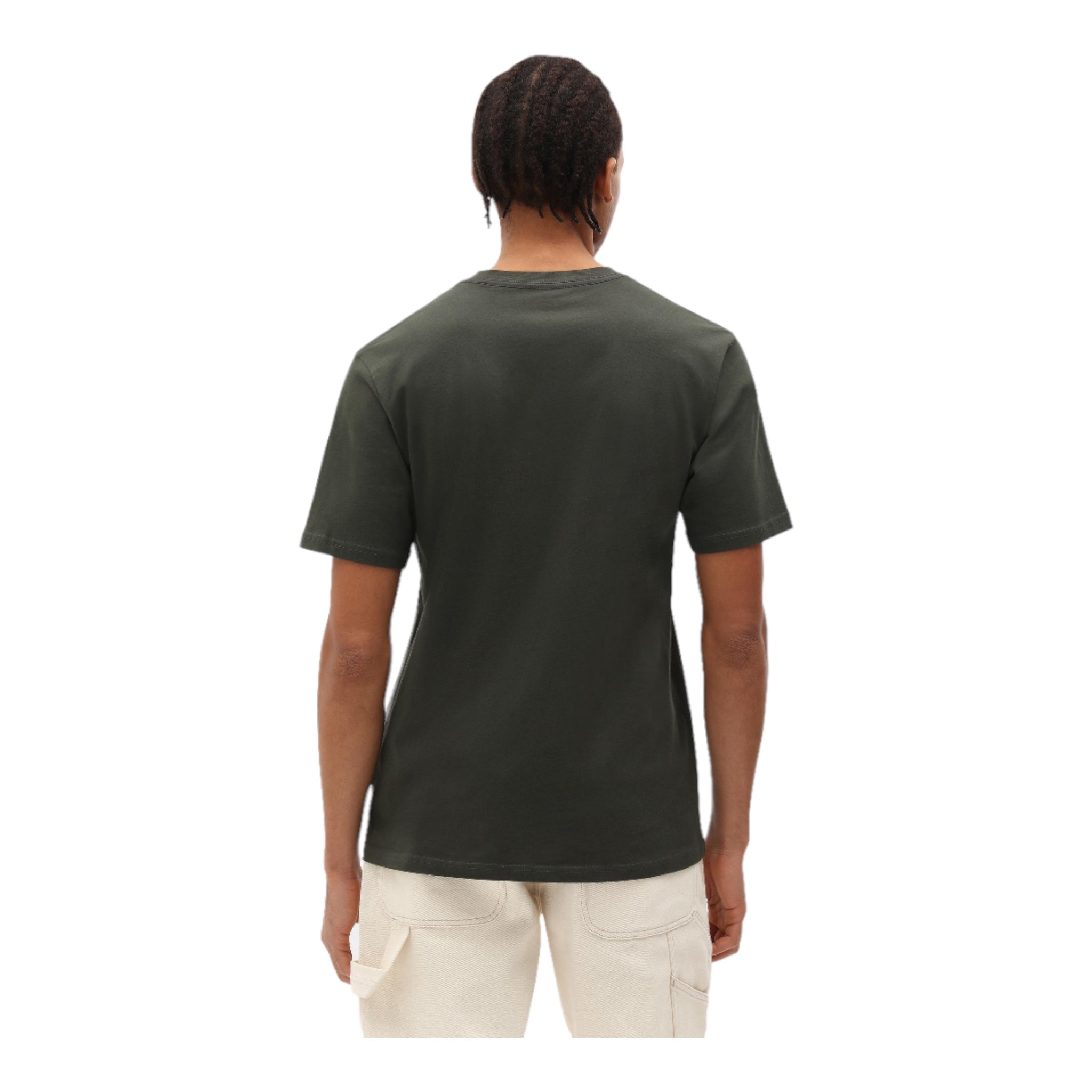 Basic T-Shirt Mapleton Tee Grün DK0A4XDBOGX Dickies