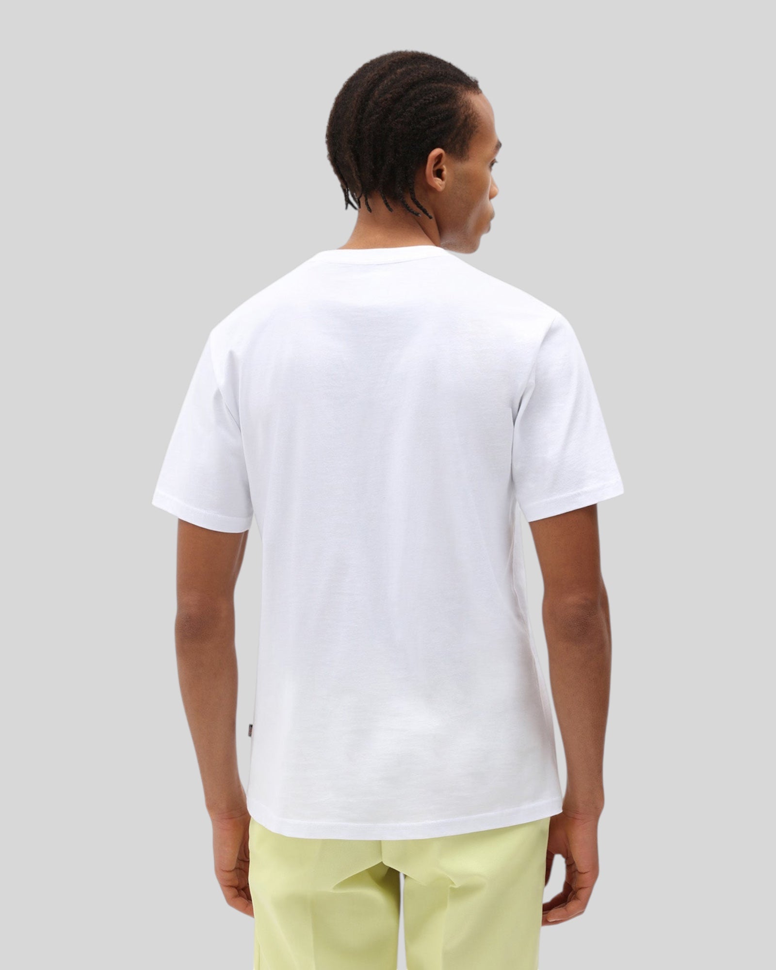 T-Shirt Mapleton SS Tee Bianca DK0A4XDBWHX1 Dickies