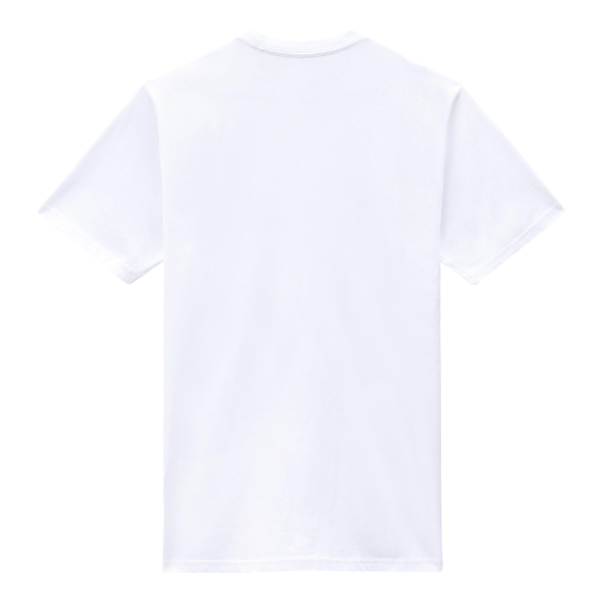 Basic T-Shirt Mapleton Tee Weiß DK0A4XDBWHX1 Dickies