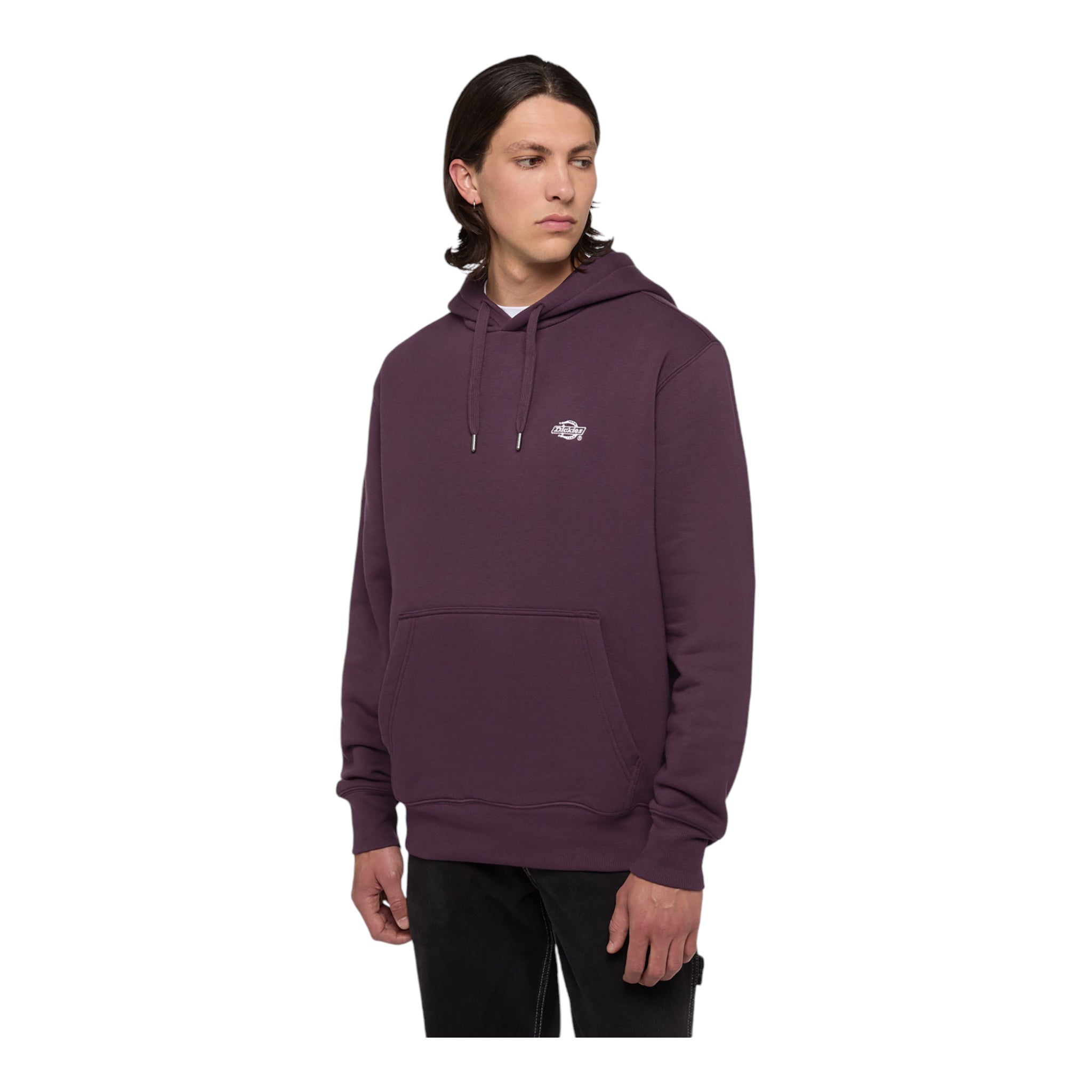 Felpa Con Cappuccio Summerdale Hoodie Prugna DK0A4Y6PJ561 Dickies