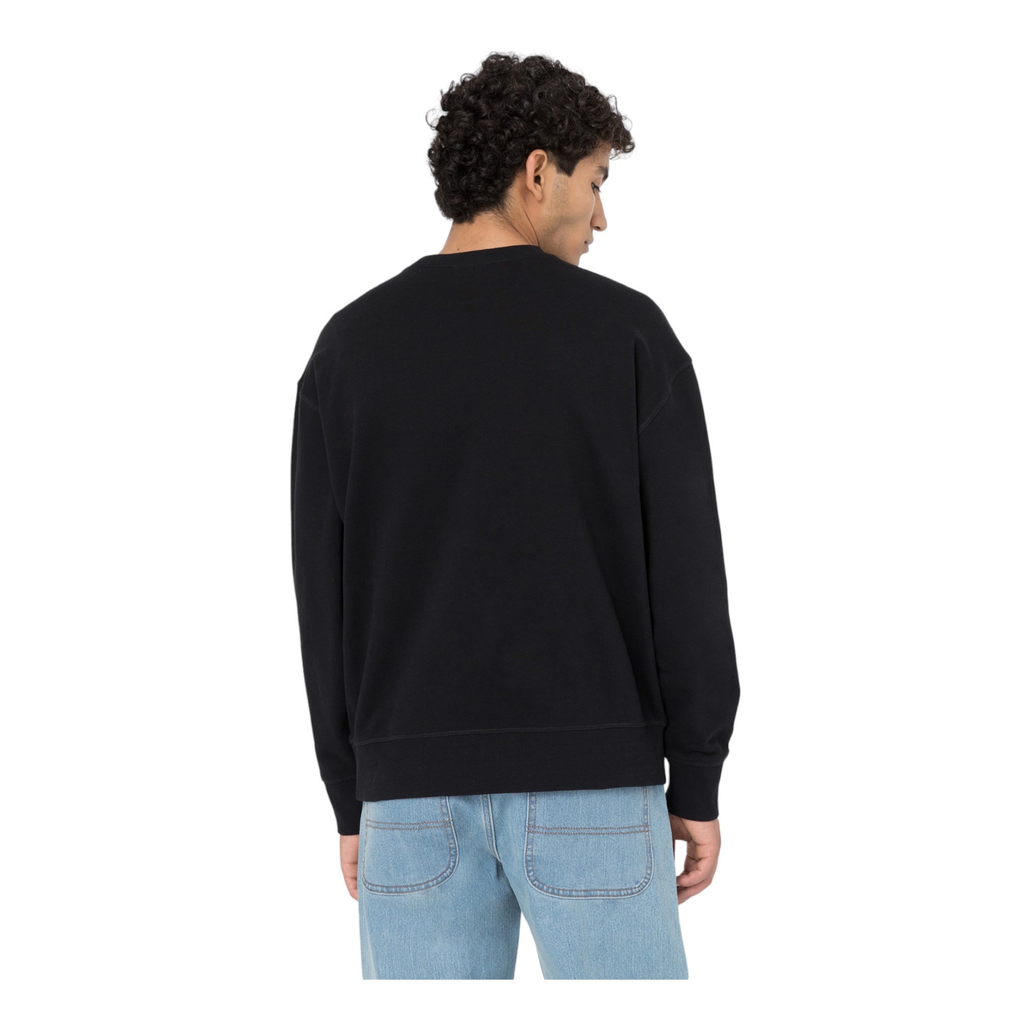 Millersburg Crew Schwarzes Sweatshirt DK0A4YLZBLK1 Dickies