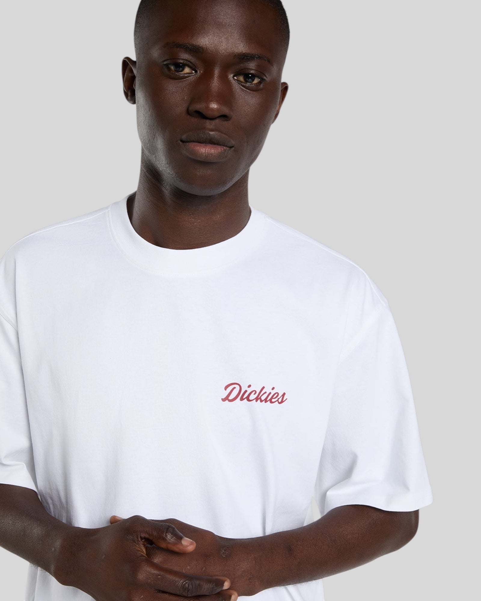 T-Shirt Wellsville SS Tee Retro Bianco DK0A88860WH1 Dickies