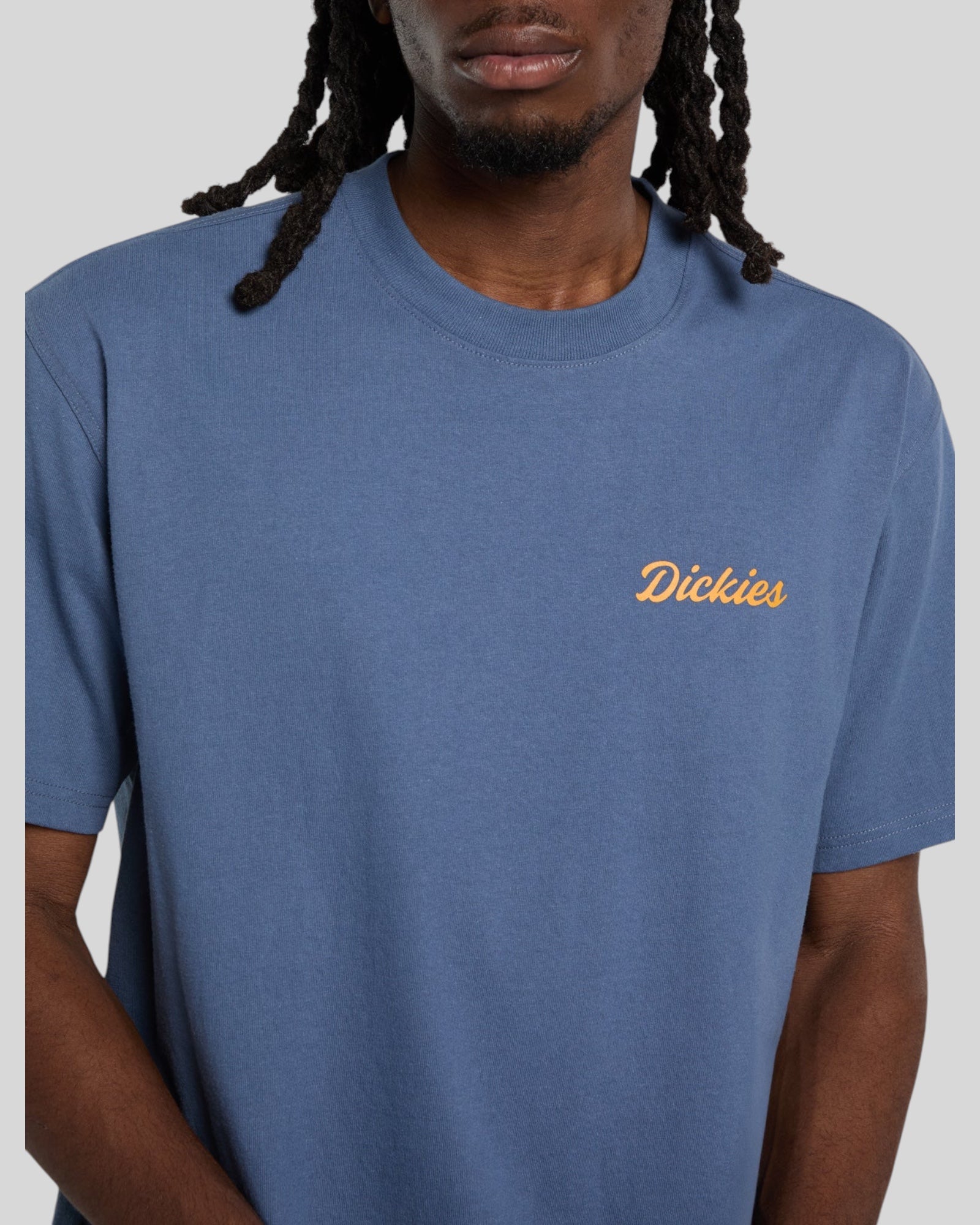 T-Shirt Wellsville SS Tee Retro Indaco DK0A8886RI21 Dickies