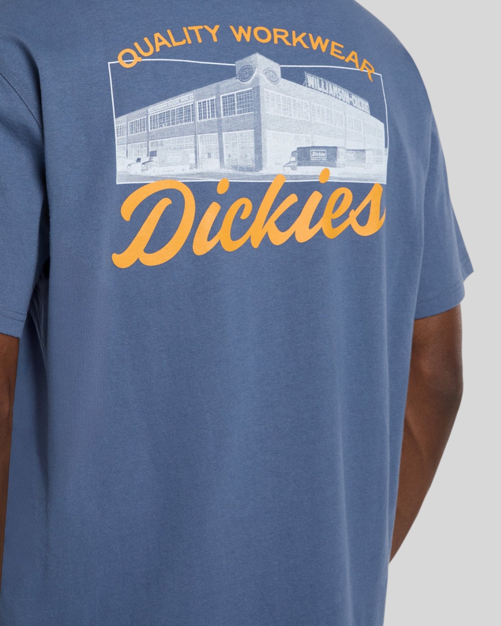 T-Shirt Wellsville SS Tee Retro Indaco DK0A8886RI21 Dickies