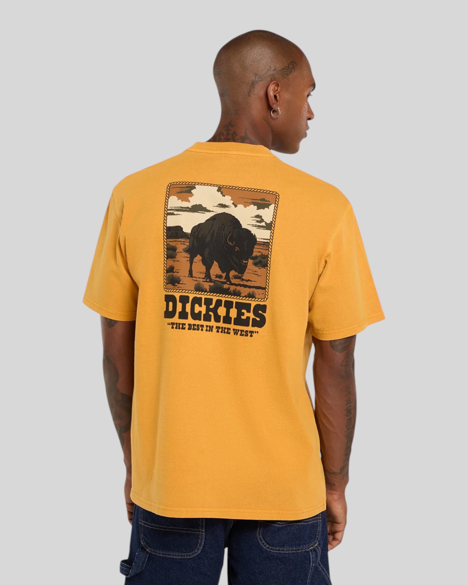 T-Shirt Darrtown SS Tee Girasole DK0A88QQSOR1 Dickies