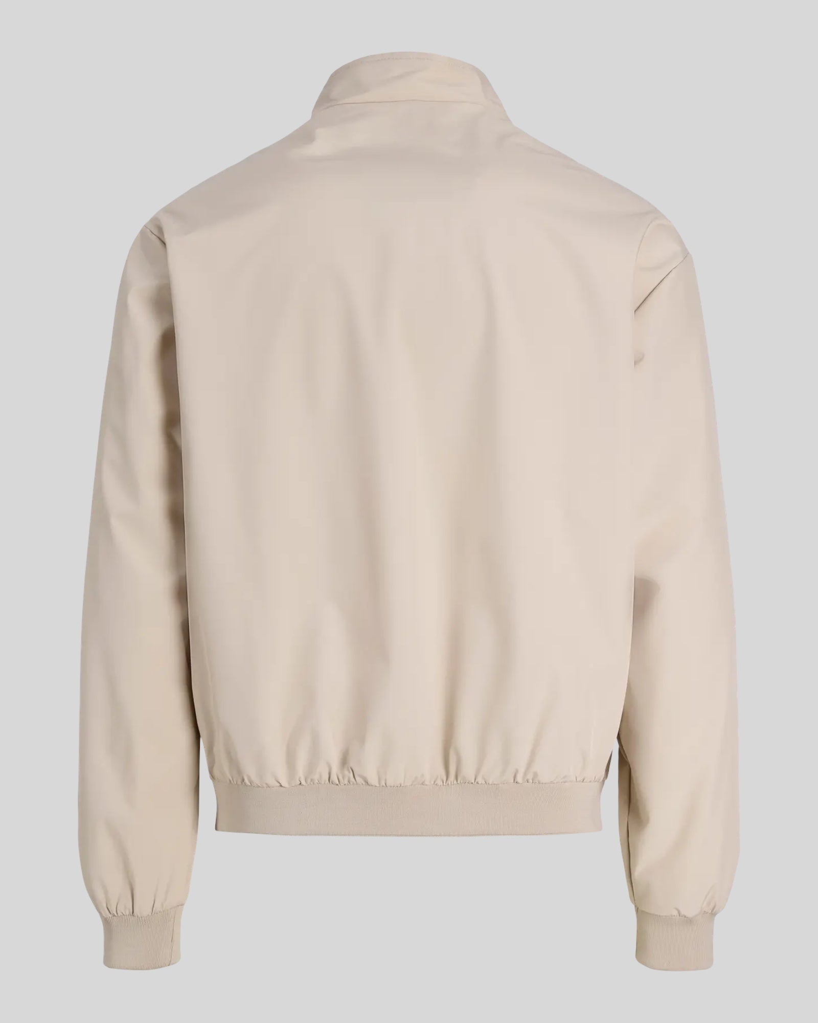 Giubbotto Jjecharger Stand Collar Bomber Essentials Moonbeam 12288895 Jack & Jones