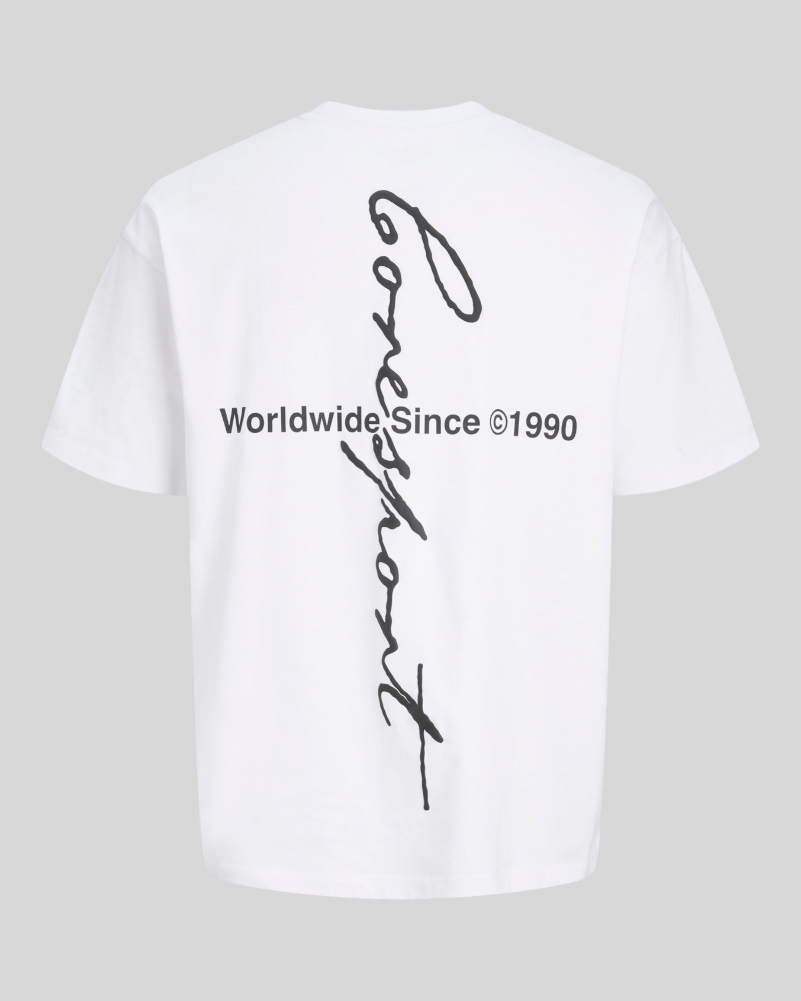 T-Shirt Jcodust Script Back SS Bianco 12292982 Jack & Jones