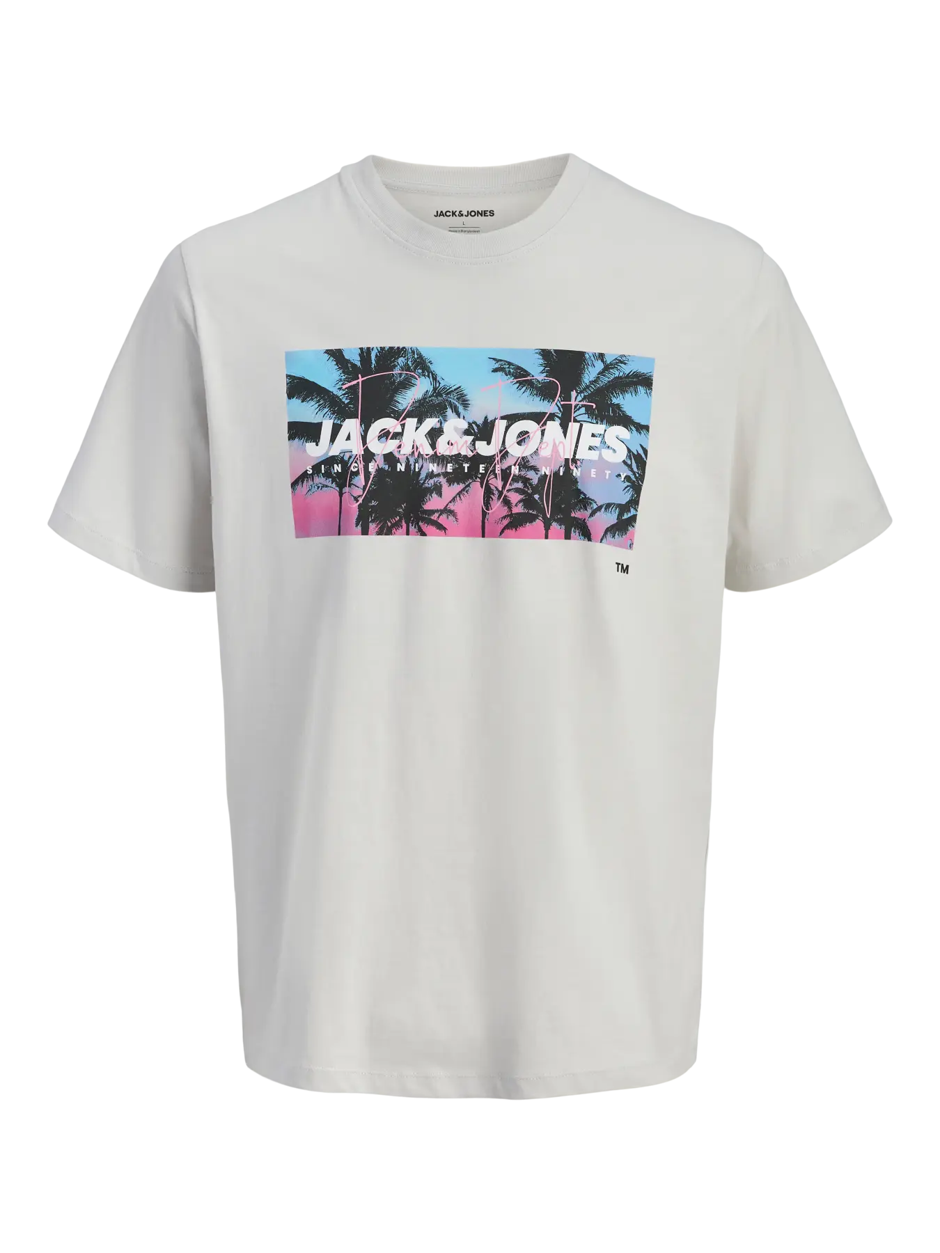 T-Shirt Jjindiana Tee SS Glacier Grey 12288112 Jack & Jones