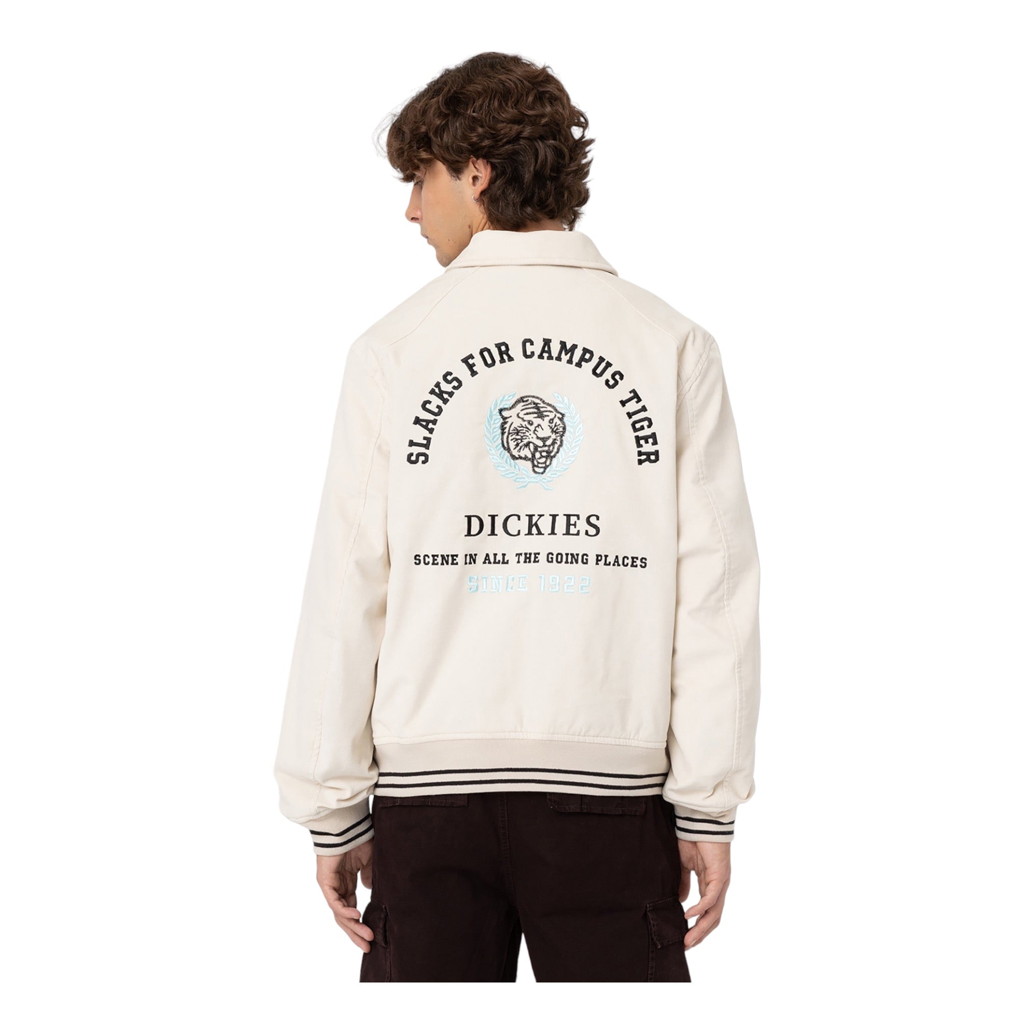 College-Jacke Dickies Westmoreland-Jacke