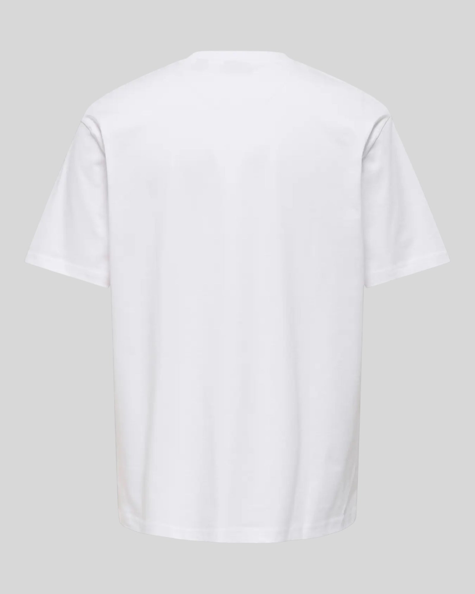 T-Shirt Onsaaron Life Relaxed Tee Bianco 22030568 Only & Sons