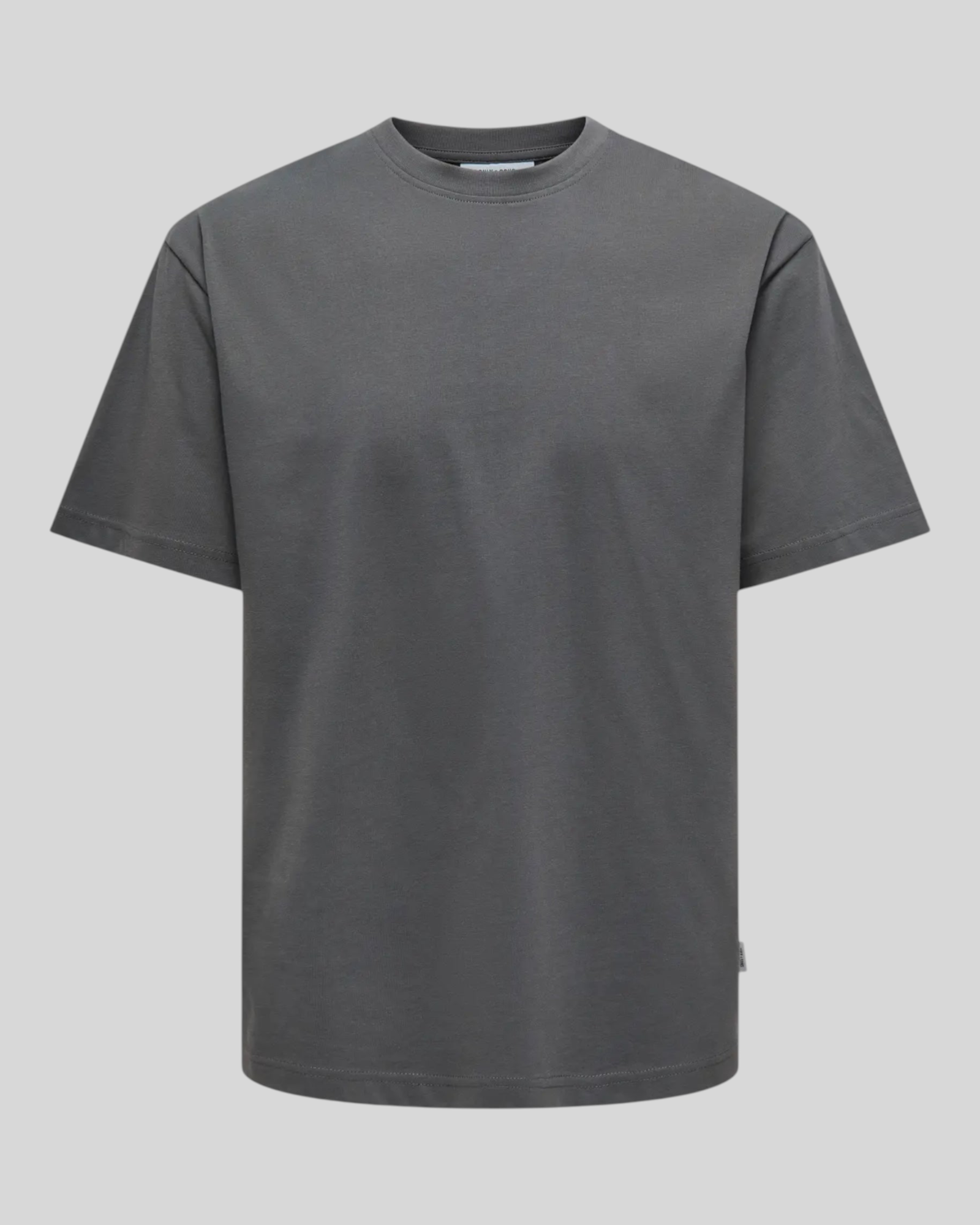 Basic Ons T-Shirt Fred Life Relaxed SS Tee Gray Pinstripe 22022532